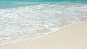沙滩大海海浪图片_2