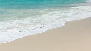 沙滩大海海浪图片_3