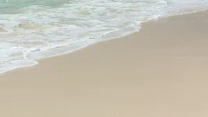 沙滩大海海浪图片_4