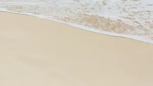 沙滩大海海浪图片_5