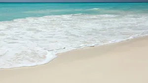 沙滩大海海浪图片_6
