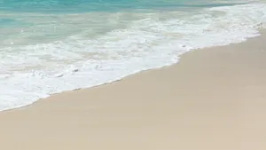 沙滩大海海浪图片_7