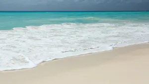 沙滩大海海浪图片_8