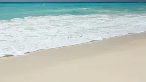 沙滩大海海浪图片_9