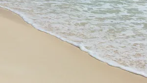 沙滩大海海浪图片_10