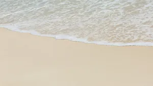 沙滩大海海浪图片_11