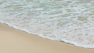 沙滩大海海浪图片_12