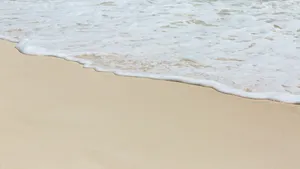 沙滩大海海浪图片_13
