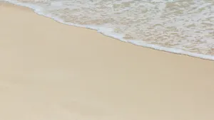 沙滩大海海浪图片_14