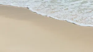 沙滩大海海浪图片_15
