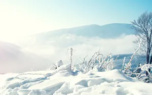 冬季高清雪景图片壁纸_8