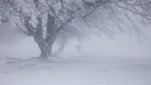 唯美雪景雪地桌面壁纸_2