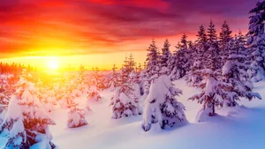 唯美雪景雪地桌面壁纸_3