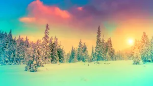 唯美雪景雪地桌面壁纸_5