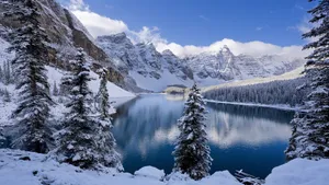 唯美雪景雪地桌面壁纸_7
