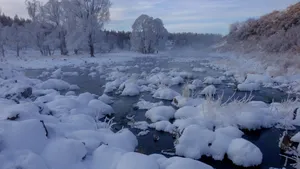 内蒙古阿尔山国家森林公园雪景_2