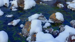 内蒙古阿尔山国家森林公园雪景_3