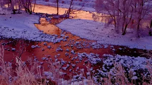 内蒙古阿尔山国家森林公园雪景_5