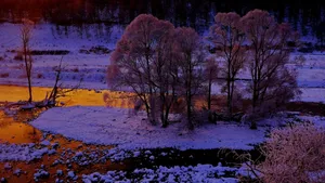 内蒙古阿尔山国家森林公园雪景_8