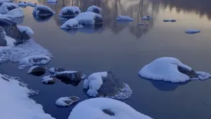 内蒙古阿尔山国家森林公园雪景_11