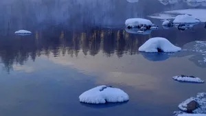 内蒙古阿尔山国家森林公园雪景_12