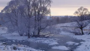 内蒙古阿尔山国家森林公园雪景_16