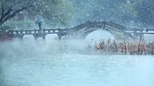 杭州西湖雪花纷飞美景_2