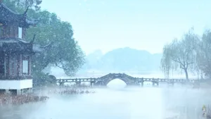 杭州西湖雪花纷飞美景_4
