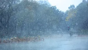 杭州西湖雪花纷飞美景_6