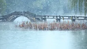 杭州西湖雪花纷飞美景_8