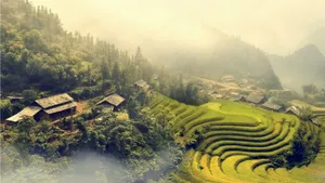 唯美自然风景图片壁纸_3