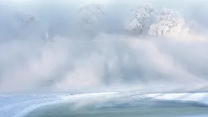 唯美朦胧雾凇图片壁纸_2
