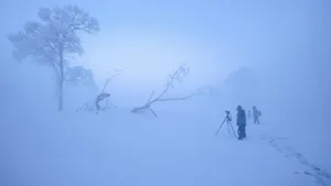 唯美朦胧雾凇图片壁纸_4