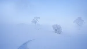 唯美朦胧雾凇图片壁纸_5