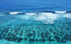 唯美海岸沙滩风景图片_8