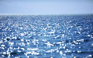 唯美海岸沙滩风景图片_15