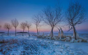 冬季河流雪景图片