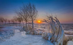 冬季河流雪景图片_5