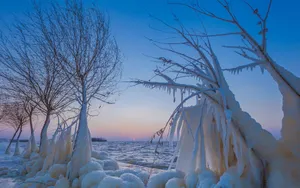冬季河流雪景图片_6