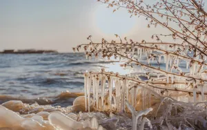 冬季河流雪景图片_9