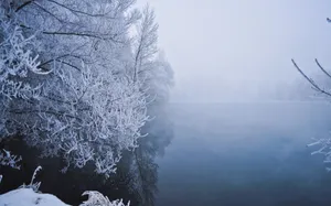 高清雪景图片大全_5