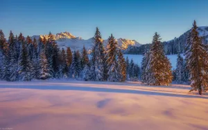 高清雪景图片大全_9