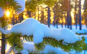 高清雪景图片大全_10