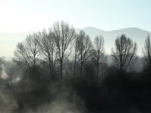 唯美晨雾图片壁纸_3