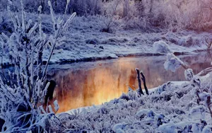 雪景千里冰封图片_3