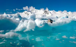 雪景千里冰封图片_5