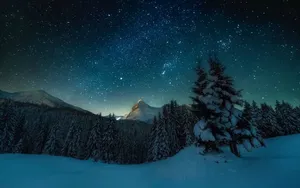 雪景千里冰封图片_6