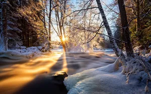 雪景千里冰封图片_9