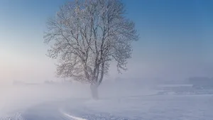 唯美好看的自然景色壁纸_11