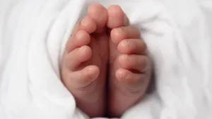 婴儿的脚丫图片_2